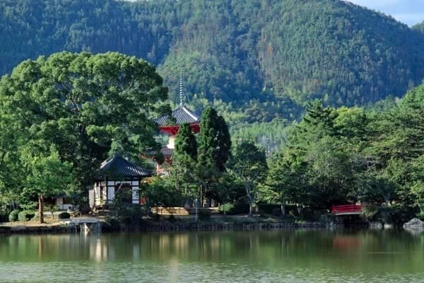 全面解讀導(dǎo)航系統(tǒng)：選擇、使用與價(jià)格分析