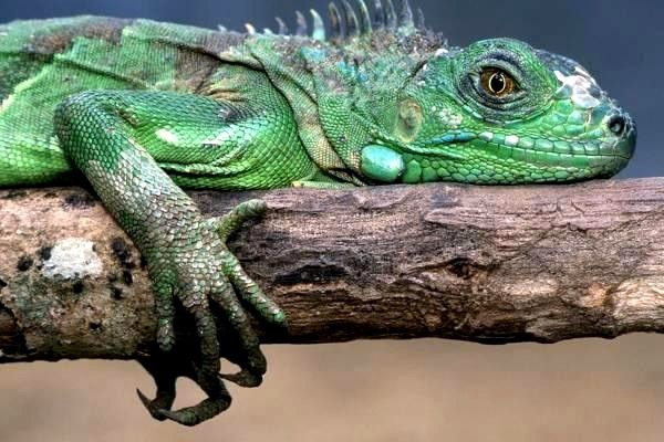 深入探討導(dǎo)航系統(tǒng)：政策背景與技術(shù)科普