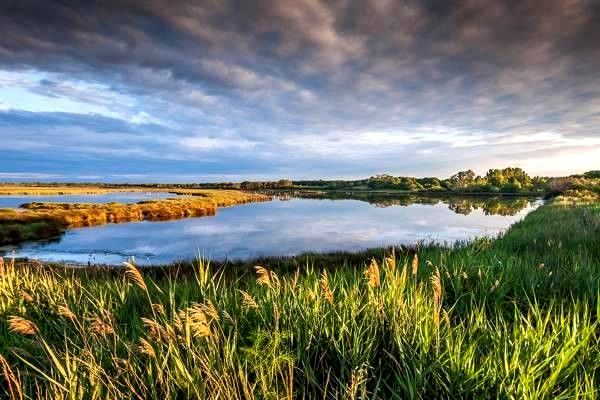 深入了解導(dǎo)航系統(tǒng)：行業(yè)現(xiàn)狀、技術(shù)進展及市場前景