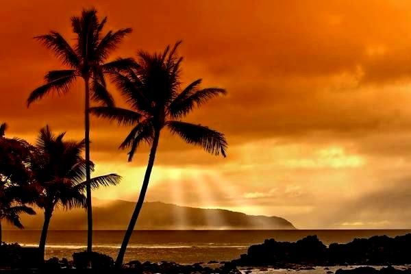 導航系統(tǒng)的全面解析：價格、分類、發(fā)展趨勢與未來如何