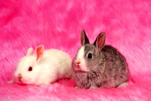 導(dǎo)航系統(tǒng)：什么？?jī)r(jià)格？怎么樣？政策解析