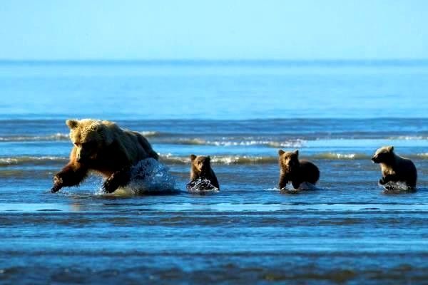 導(dǎo)航系統(tǒng)的全方位解析：定義、應(yīng)用、政策與未來前景