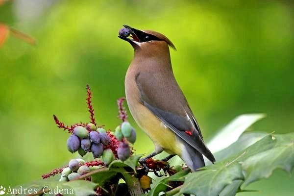 導(dǎo)航系統(tǒng)全解析：功能、國家、價格及市場趨勢