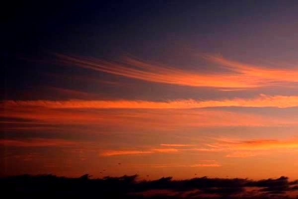 導(dǎo)航系統(tǒng)的全方位解析：價格、選擇、使用指南