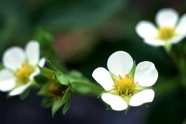 導(dǎo)航系統(tǒng)揭秘：了解導(dǎo)航系統(tǒng)的工作原理及其未來發(fā)展