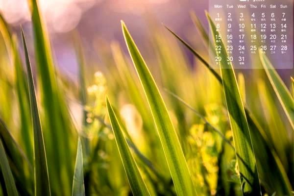 導航系統(tǒng)全解析：定義、應用、政策與未來發(fā)展