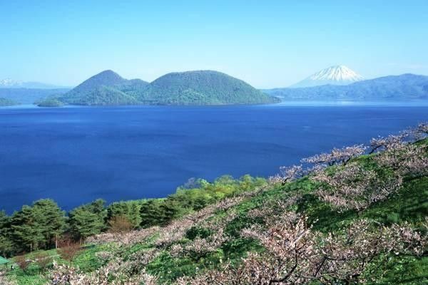 導(dǎo)航系統(tǒng)的全面解析：政策背景、價格及使用指南