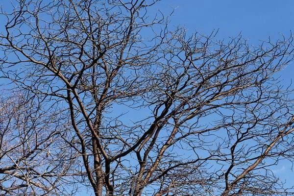 導(dǎo)航系統(tǒng)政策大全：你需要了解的導(dǎo)航系統(tǒng)背后的每一個(gè)細(xì)節(jié)