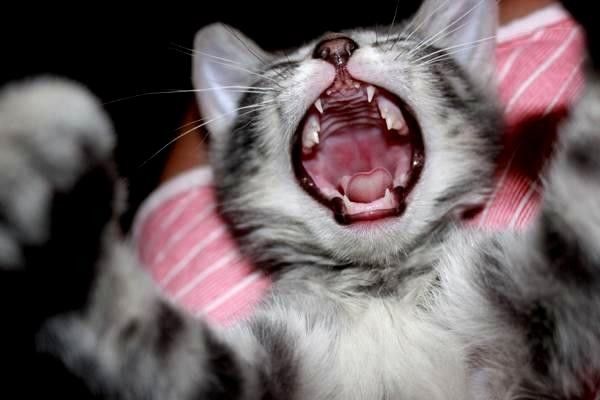 導航系統(tǒng)全景解析：全球?qū)Ш郊夹g的發(fā)展與應用